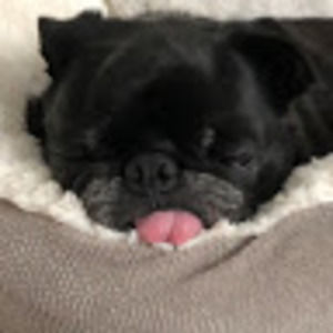 Meet your Posher, Aj